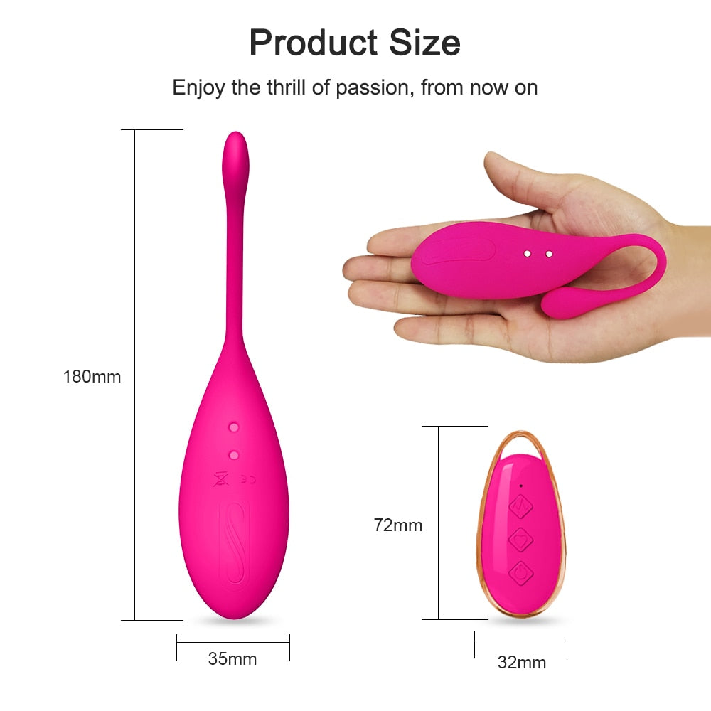 Remote control Vibrator Sex Toys